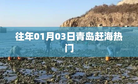 『青岛赶海热潮,一月份三日盛况』