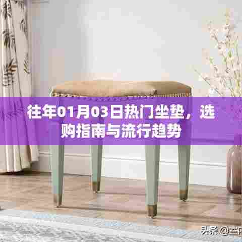 选购坐垫指南，流行趋势与选购建议（往年元旦热门款）