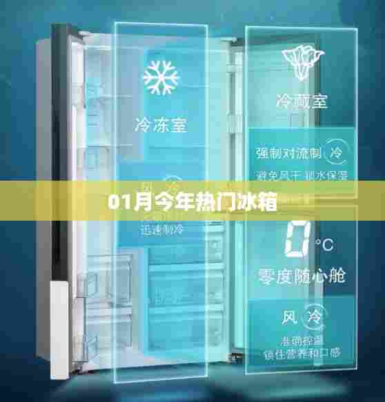本月热门冰箱推荐榜单