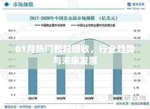 热门颗粒回收行业趋势及未来发展展望