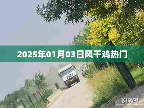 风干鸡热门资讯，揭秘2025年市场趋势