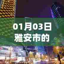 雅安市热门行业概览，01月行业风向报告