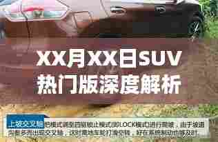 SUV热门版深度解析，全方位解读车型特点