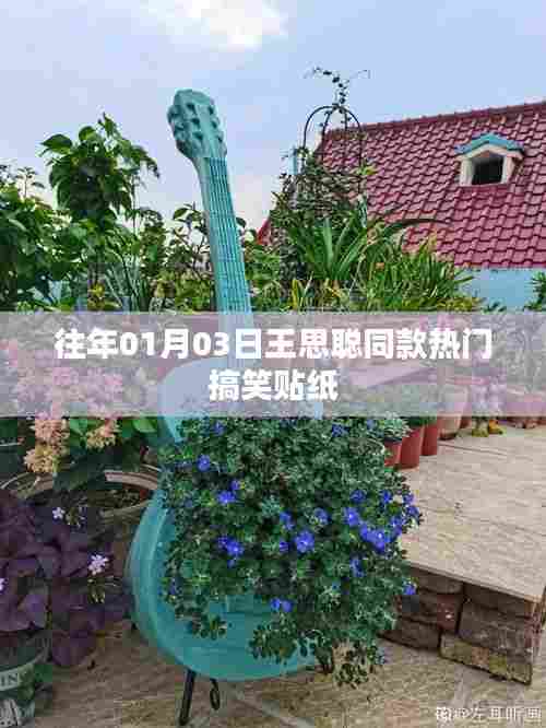 神采飞扬 第3页