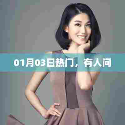 热门话题解析，最新动态与热议（日期，01月03日）