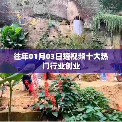 短视频热门行业创业趋势分析,历年一月初创业新风口