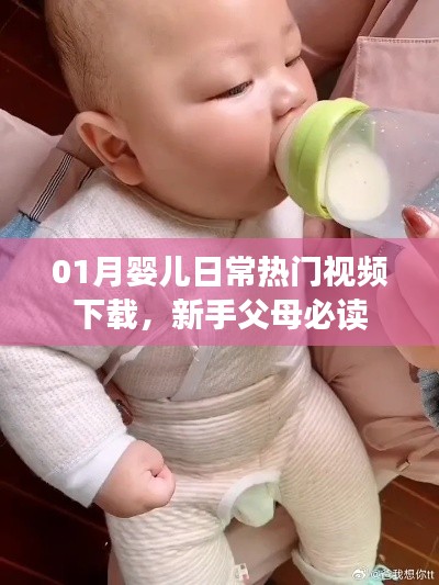 婴儿日常热门视频下载指南,新手父母必看