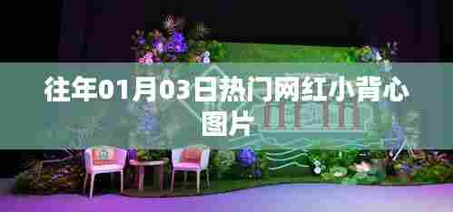 精选网红小背心图片，时尚潮流尽在掌握