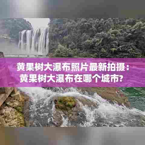 雅量高致 第2页