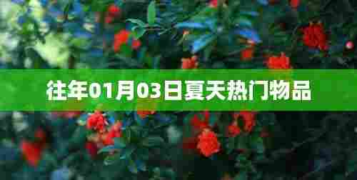 『往年夏季热门物品盘点』