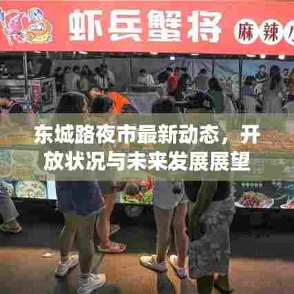 东城路夜市最新动态，开放状况与未来发展展望