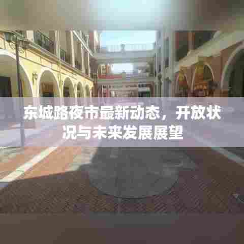 东城路夜市最新动态,开放状况与未来发展展望