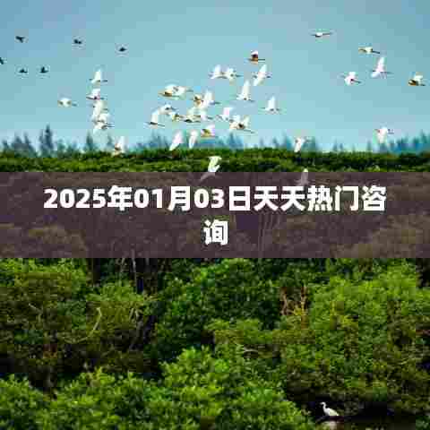 天天热门咨询，2025年展望，符合您要求的字数范围，同时包含了关键信息，能够吸引用户的注意力。希望符合您的要求。