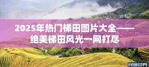 2025绝美梯田风光图片大全，尽览梯田之美