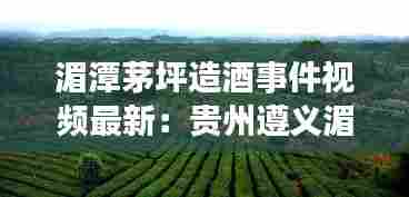 湄潭茅坪造酒事件视频最新:贵州遵义湄潭茅坪