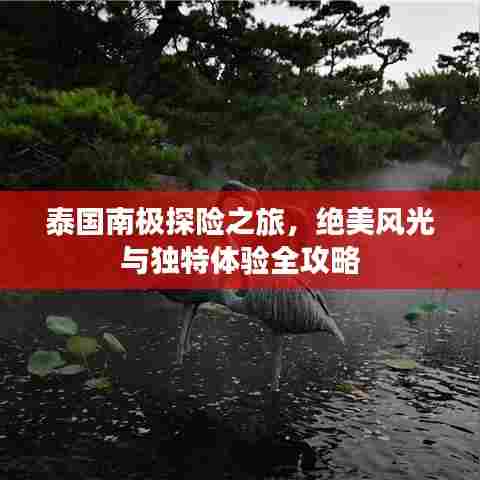 泰国南极探险之旅，绝美风光与独特体验全攻略