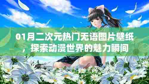 探索动漫世界魅力瞬间,一月二次元热门壁纸