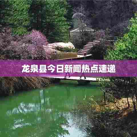 龙泉县今日新闻热点速递