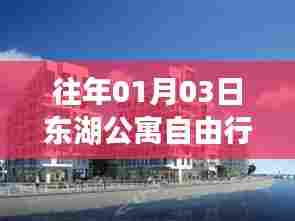 东湖公寓自由行指南，热门攻略揭秘