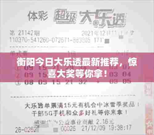 衡阳今日大乐透最新推荐，惊喜大奖等你拿！