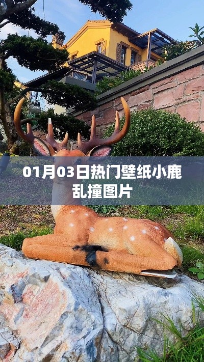 01月精选小鹿乱撞壁纸图片，热门壁纸大放送