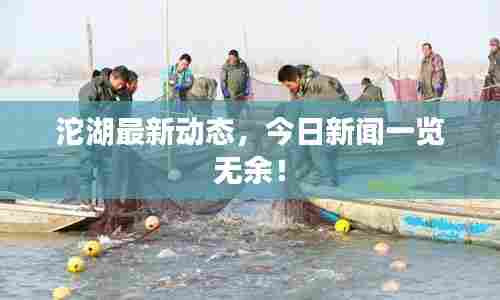 沱湖最新动态，今日新闻一览无余！
