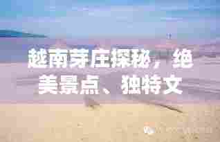 越南芽庄探秘，绝美景点、独特文化，一网打尽！