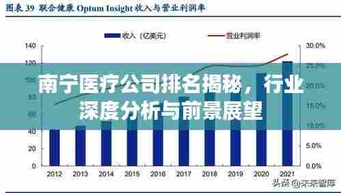 南宁医疗公司排名揭秘，行业深度分析与前景展望