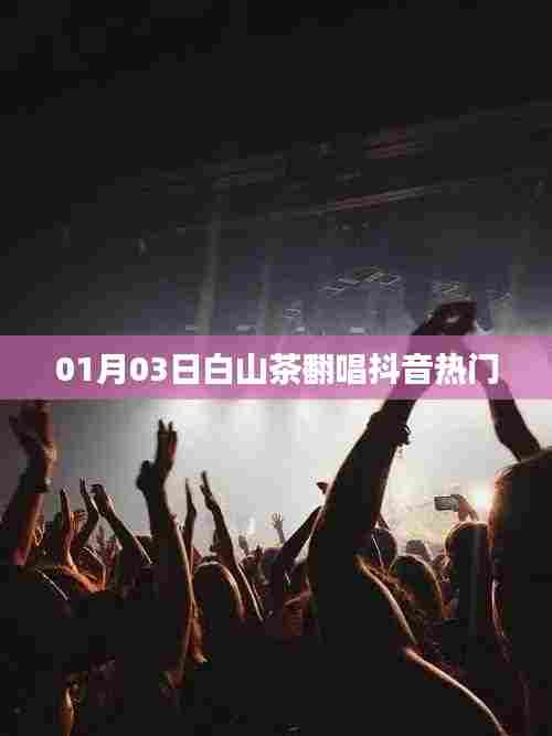 难能可贵 第3页