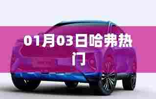 哈弗热门车型 01月03日解析