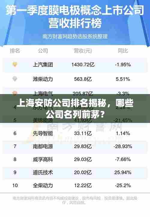 上海安防公司排名揭秘，哪些公司名列前茅？