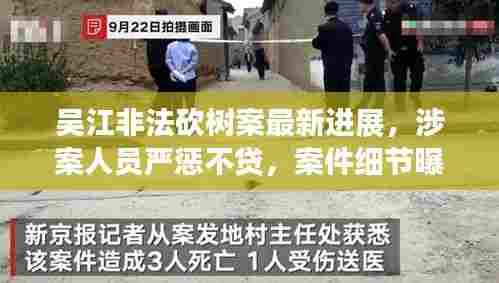 吴江非法砍树案最新进展，涉案人员严惩不贷，案件细节曝光！