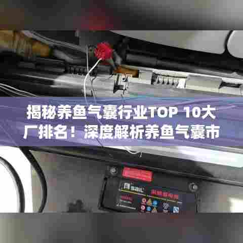 揭秘养鱼气囊行业TOP 10大厂排名!深度解析养鱼气囊市场领军企业
