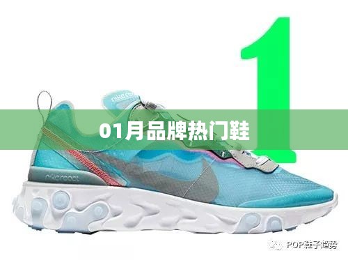 热门鞋品牌风采展现,一月份潮流之选