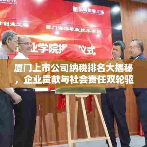 厦门上市公司纳税排名大揭秘,企业贡献与社会责任双轮驱动
