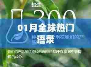 全球热门语录精选，一月精选集