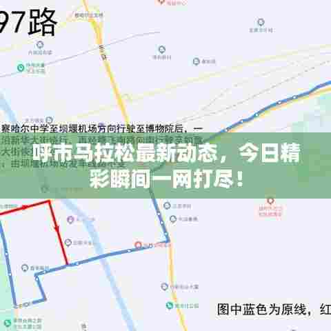 呼市马拉松最新动态，今日精彩瞬间一网打尽！