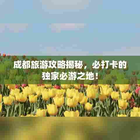 成都旅游攻略揭秘，必打卡的独家必游之地！