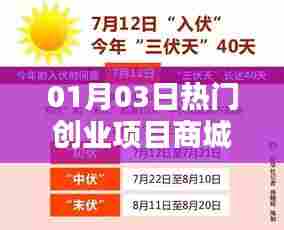 热门创业项目商城一网打尽，就在01月03日！