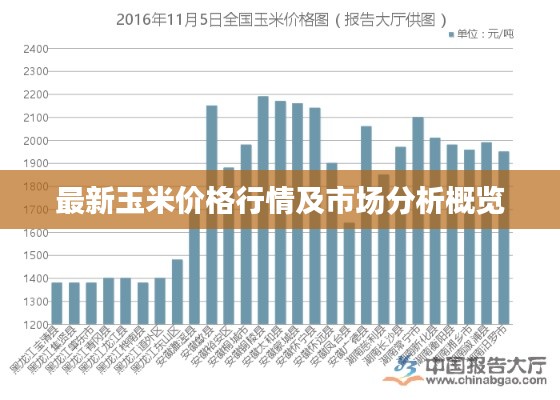 最新玉米价格行情及市场分析概览