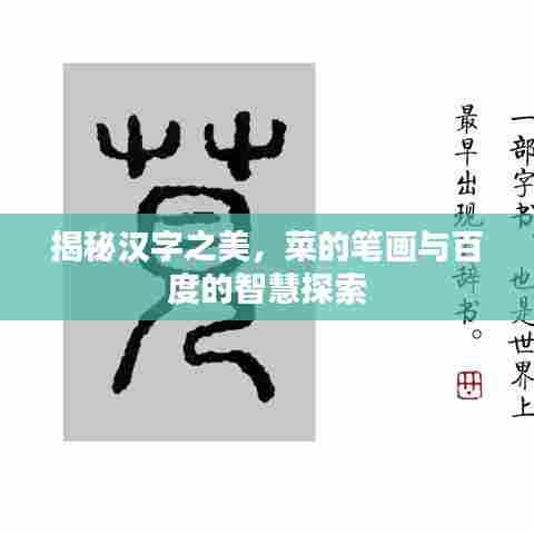 揭秘汉字之美，菜的笔画与百度的智慧探索