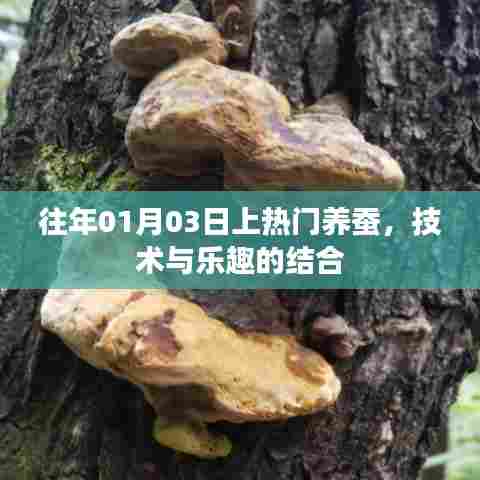 养蚕热潮来袭,技术与乐趣的完美结合