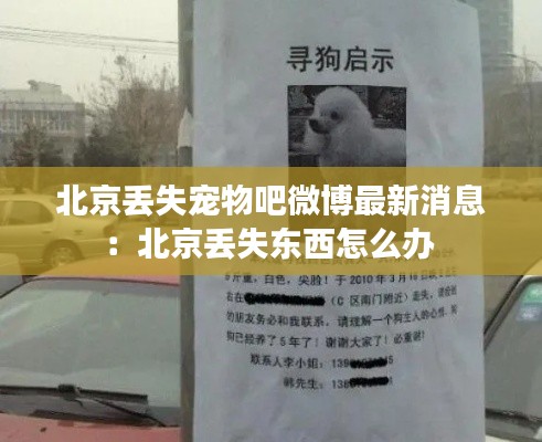 北京丢失宠物吧微博最新消息：北京丢失东西怎么办 