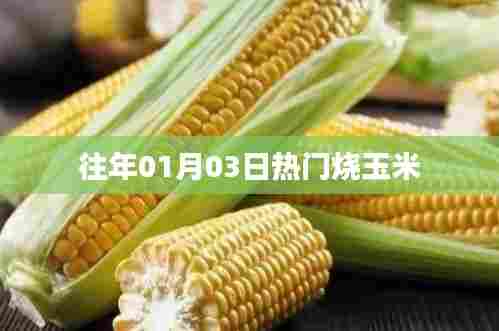 往年元旦后玉米热潮，烧玉米成焦点