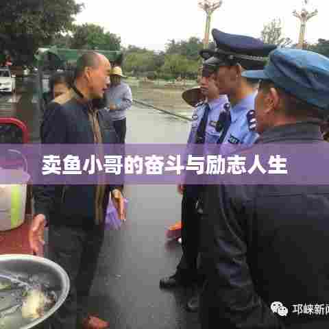 卖鱼小哥的奋斗与励志人生