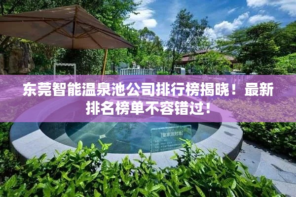 东莞智能温泉池公司排行榜揭晓!最新排名榜单不容错过!