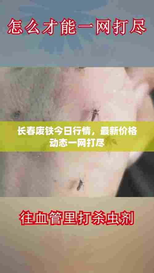 长春废铁今日行情,最新价格动态一网打尽