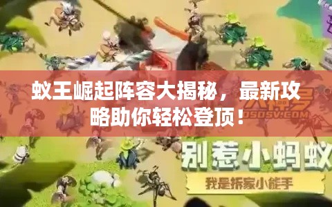 蚁王崛起阵容大揭秘,最新攻略助你轻松登顶!