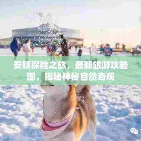 神采奕奕 第2页