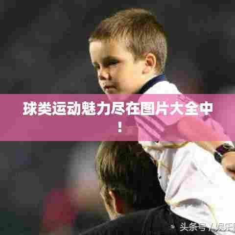 球类运动魅力尽在图片大全中！